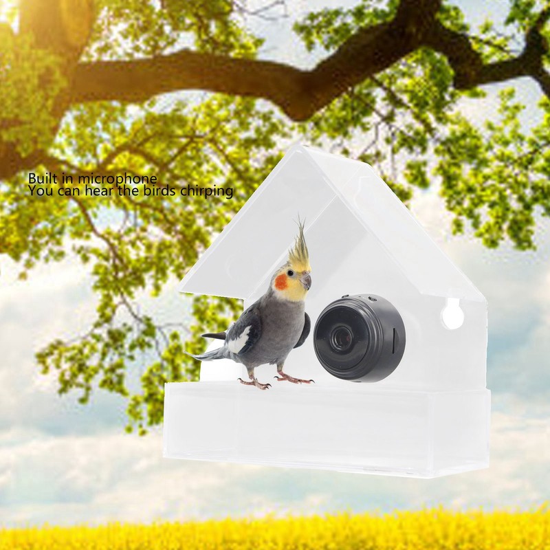 Camera Smart Bird Feeder 720HD Remote Connection Night Vision Clear