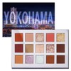 FOCALLURE FA100 'GO TRAVEL' 15 Color Eye Shadow Palette, Powder