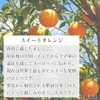 Natural 100% Sweet Orange Oil 30ml (Orange Sweet) Essential Oil