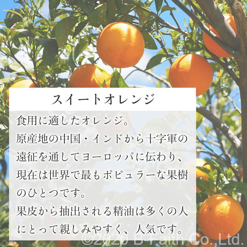 Natural 100% Sweet Orange Oil 30ml (Orange Sweet) Essential Oil