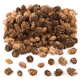Baker Ross AC492 Larch Cones, Ideal for Kids, Arts and Crafts, Christmas, Sensory Stimulation and More, Value Pack, 250 grams