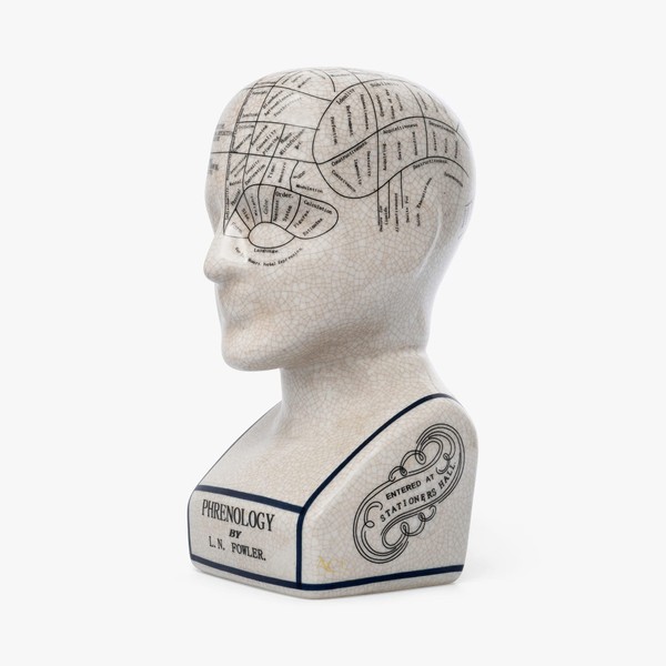 Assorted Collections Phrenology Head Ceramic Ornament Collectable Retro Bust 16cms Crackle L N Fowler