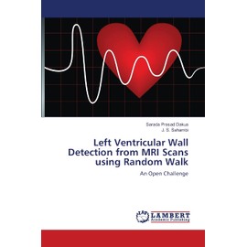 Left Ventricular Wall Detection from MRI Scans using Random Walk: An Open Challenge