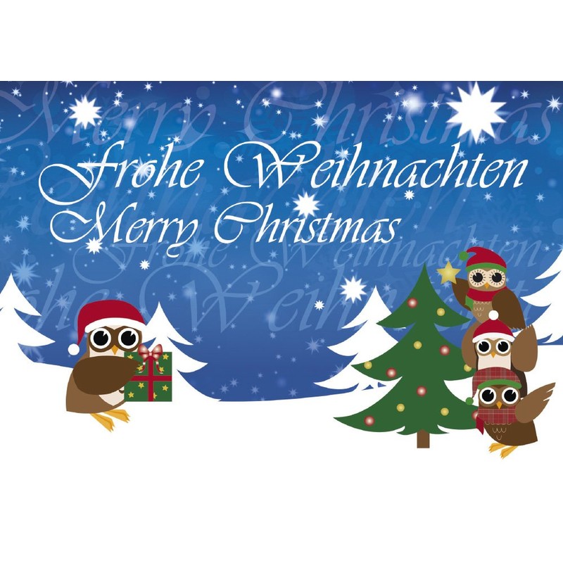 12 Postkarten - Mix Eulen Weihnachten Weihnachtskarten 6 verschiedene Motive