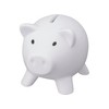 Piggy Bank PVC Soft Body Vibrant Colour Novelty Money Box