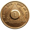 30 Day 1 Month AA Anniversary Chip Traditional Style Medallion