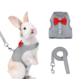 AIITLE Rabbit Harness and Leash Set with Cute Bow, Soft Breathable Mesh Vest Harness for Rabbits Kitten Ferret Puppy Small Pets Walking Supplies Grey L