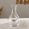Urban Tokyo Japanese Cold Sake Wine Glass Decanter 12 fl