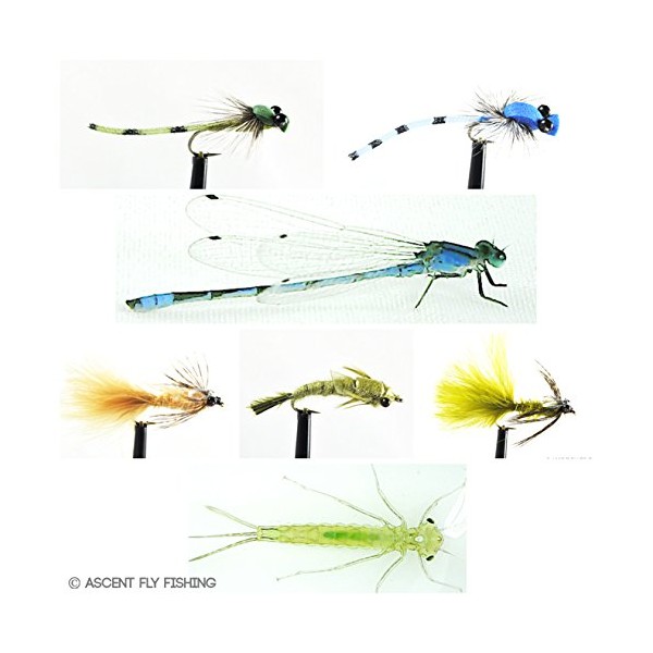 Ascent Fly Fishing Damselfly Selection (Small)