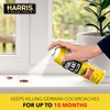 Harris 10-Month Roach & Ant Killer, Odorless & Non-Staining Aerosol