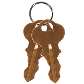 Safety Technology International, Inc. KIT-H19032 Two Replacement Keys #2341