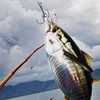 Snagging Weighted Treble Hooks, 5pcs Snagging Hooks Large Weighted Fishing