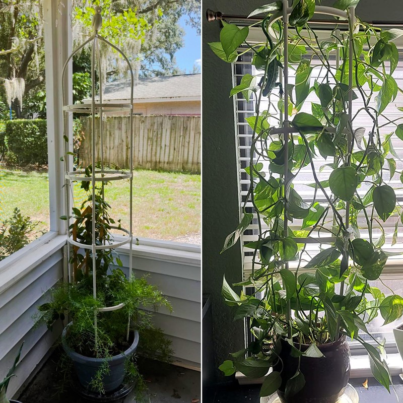 Garden Trellis for Climbing Plants, Rustproof Metal Pipe with Heavy