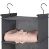 LOVJOYSE 6 Tier Shelf Hanging Closet Organizer, Closet Hanging Shelf