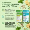 Windboss Billones Probióticos Enzimas 120 Cápsulas