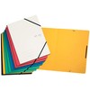 VON Leitz 30112099 Pack of 10 A4 Folder with Elastic