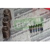 Brian Crower BC1100 Valve Spring (Mitsubishi 4G63 Eclipse/Evo/Dodge SRT-4 Single)