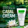 Dieview Casal Cream Tool Casal Cream 100ml+Sample Maximum / 디에뷰