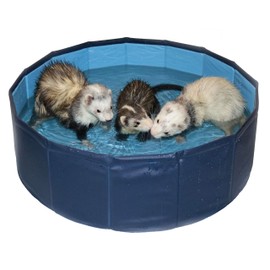 Marshall Pet Products Ferret Swiming Pool