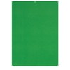 Westcott 579 Green Screen Backdrop 5 x 7 Feet (Green)