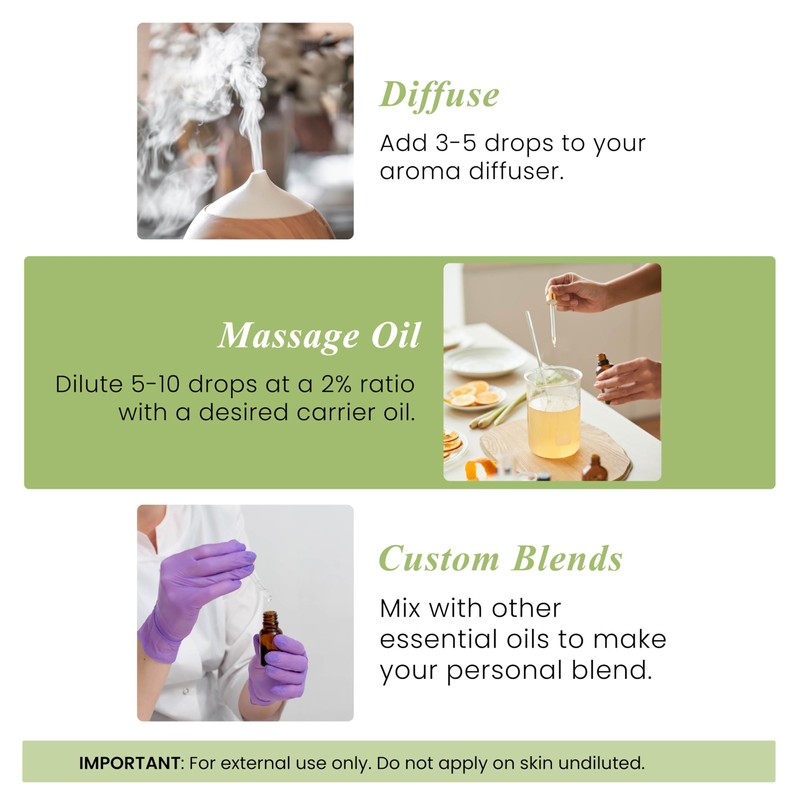 Handcraft Blends Peppermint Essential Oil – 1 Fl Oz –
