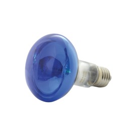 QTX R80 Coloured Reflector Lamps | BLUE
