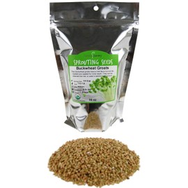 Hulled Buckwheat Groats- 1 Lbs - Organic Buck Wheat Groats- Sprouting Seed, Gardening, Planting, Edible Seeds, Emergency Food Storage, Hydroponics