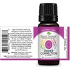 Plant Therapy Chakra 7 Higher Connection (Crown Chakra) Essential Oil