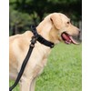 Joytale Tactical Dog Collar with Handle, Adjustable Heavy Duty Military