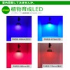 Plant Growing LED Lamp (Blue) PAR30-470nm