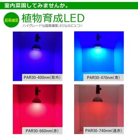 Plant Growing LED Lamp (Blue) PAR30-470nm