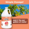 Citrus Fertilizer for All Citrus and Fruiting Trees, Liquid Plant