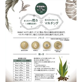 Nature Plants Clean and Rejuvenate Just by Gaining Your House Plants 2L