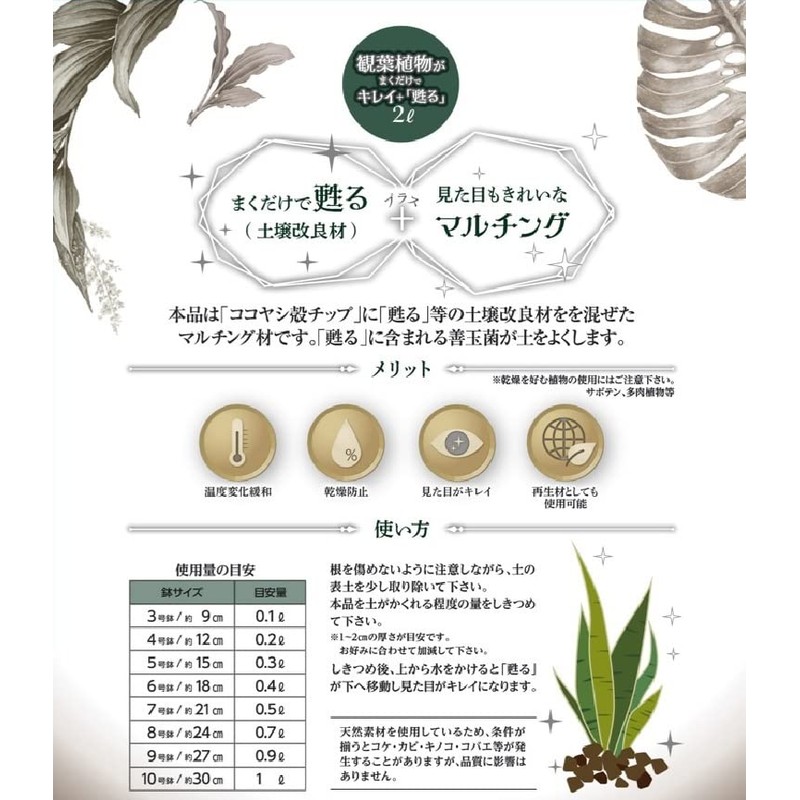 Nature Plants Clean and Rejuvenate Just by Gaining Your House