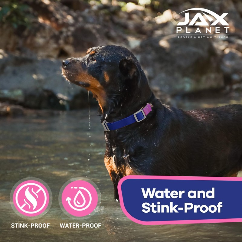 Jelly Waterproof Martingale Dog Collar, No Pull Nylon Collar with