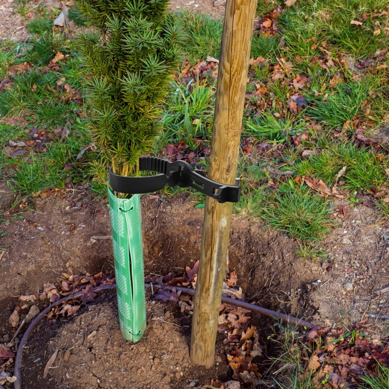 Coloch 10 Pieces Tree Stake Support Bands, Adjustable Tree Plant