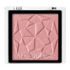 MAQUILLAGE RS319 Dramatic Eye Color (Powder), Ruby Cacao, Matte Eyeshadow,