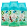 Airwick 3 x Turquoise Oase Refills for Freshmatic Max -