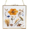 HighFree 6.3x6.3" Double Glass Floating Frame for Dried Flowers Square