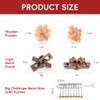 17 Pcs Brain Teaser Puzzles for Adults Teens - Metal