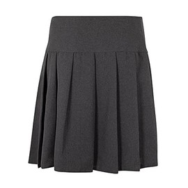 MOLLY MALOU Girls Kids Women Ladies School Uniform All Round Pleated School Skirt with Zip Drop Waist UK Size (15-16 Years, Grey)