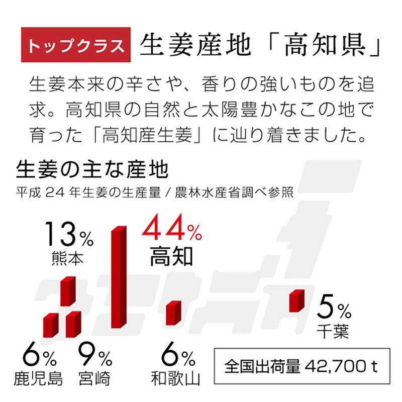 nichie 国産 しょうが パウダー 高知県産 生姜 100g