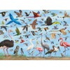 All The Birds 1000 Piece Jigsaw Puzzle