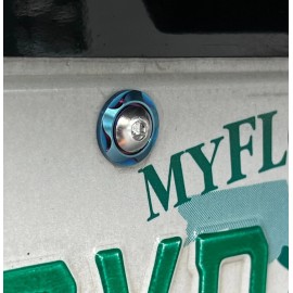 Blackworks Racing 2 TITANIUM BURNT LICENSE PLATE ANTI THEFT SECURITY BOLTS WASHERS SCREWS SILVER