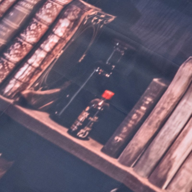 Living Room Curtains 3D Bookcase Printed Shading Curtains Bedroom Drapes