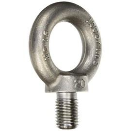 RANIWA Eyebolt M20 EB1000020