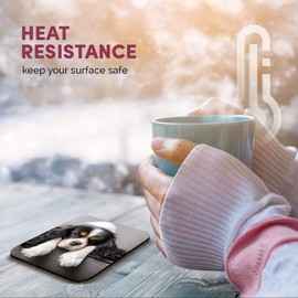 Great Single Coaster Square - Cavalier King Charles Spaniel Dog |Glossy Quality Coasters | Tabletop Protection for Any Table Type #12388