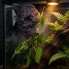 Reptile Water Dish with Dripper, Adjustable Wall-Mounted Water Bowl for