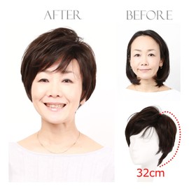 (My Health) Wig, Short, Elegant, Stylish, Adult, Refreshing, Layered Short, Full Wig, Wig, Wig, Women's Full Wig, Heat Resistant S004 (Medical Base x Human Hair Mix, N2 Brown N2)