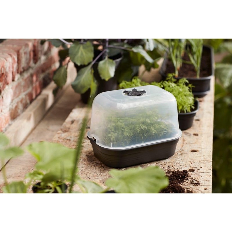 Elho Green Basics Propagation Bowl S – Vivid Black –